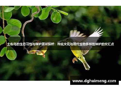 土布鸟的生态习性与保护现状探析:传统文化与现代生物多样性保护的交汇点 土布鸟的生态习性与保护现状探析:传统文化与现代生物多样性保护的交汇点