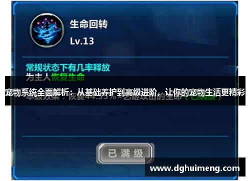 宠物系统全面解析:从基础养护到高级进阶,让你的宠物生活更精彩 宠物系统全面解析:从基础养护到高级进阶,让你的宠物生活更精彩